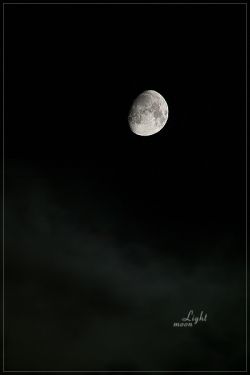 moonlight2
